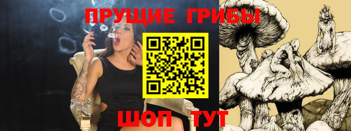 Махачкала  Псилоцибиновые грибы мицелий  магазин    Вход с VPN 